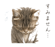 845396827