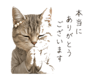 845396832