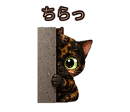 845396842