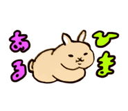 845397664
