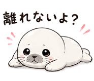 845397896