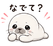 845397908