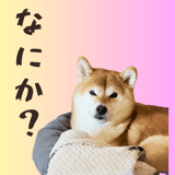845398377