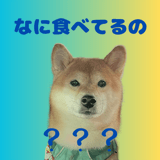 845398381
