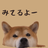 845398386