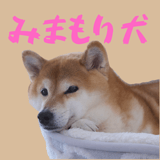 845398387