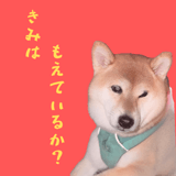 845398390