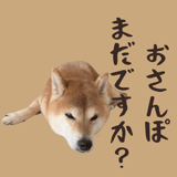 845398391