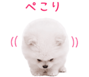 845398938