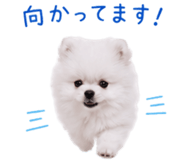 845398942