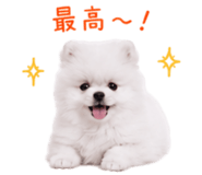 845398950