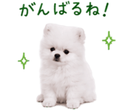 845398951