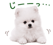 845398962