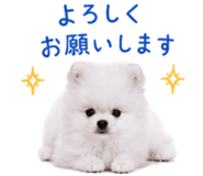 845398963