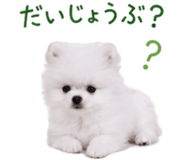 845398973