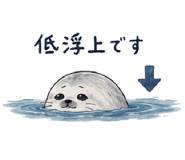 845398992