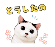 845399076