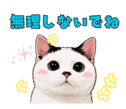 845399079