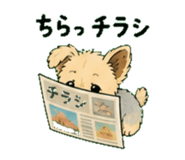 845399147