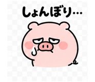 845399373