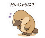 845399906