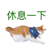 845400684