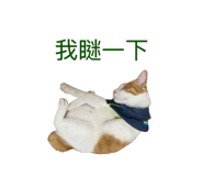 845400695