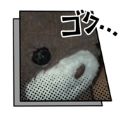 845402459