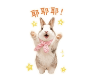 845408822