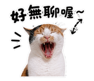 845409146