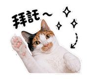 845409148