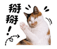 845409150