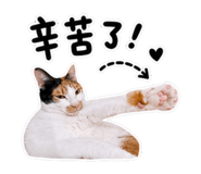845409154