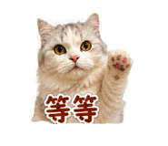 845409193