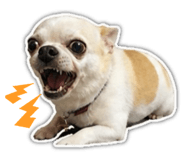 845409304