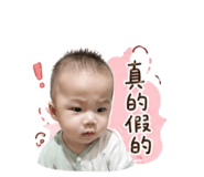 845409376