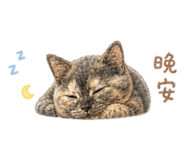 845409928