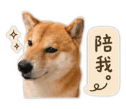 845410049