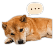 845410051