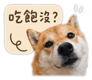845410053
