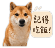 845410054