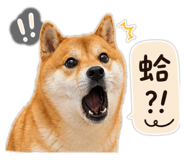 845410062