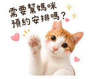 845410290