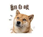 845410381
