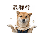 845410385