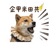 845410393