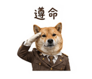 845410400