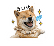845410408