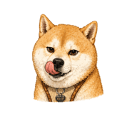 845412422
