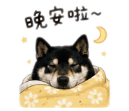 845413323